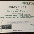 Powiększ obraz: certificate 11