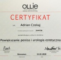 Powiększ obraz: certificate 9
