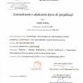 Powiększ obraz: certificate 5