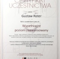 Powiększ obraz: certificate 9