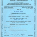 Powiększ obraz: certificate 7