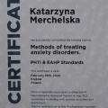 Powiększ obraz: certificate 6