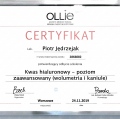 Powiększ obraz: certificate 6