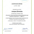 Powiększ obraz: certificate 3