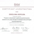 Powiększ obraz: certificate 43