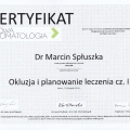 Powiększ obraz: certificate 3