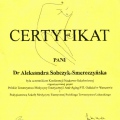 Powiększ obraz: certificate 2