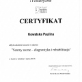 Powiększ obraz: certificate 5