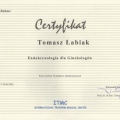 Powiększ obraz: certificate 10