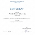 Powiększ obraz: certificate 27