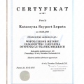 Powiększ obraz: certificate 3