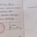 Powiększ obraz: certificate 4