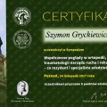 Powiększ obraz: certificate 37