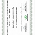 Powiększ obraz: certificate 5