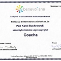 Powiększ obraz: certificate 7