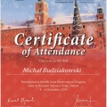 Powiększ obraz: certificate 14