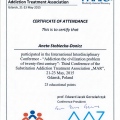Powiększ obraz: certificate 12