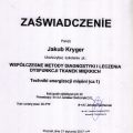 Powiększ obraz: certificate 12