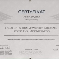 Powiększ obraz: certificate 7