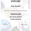 Powiększ obraz: certificate 11