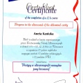 Powiększ obraz: certificate 5