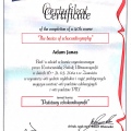 Powiększ obraz: certificate 10