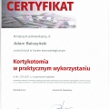 Powiększ obraz: certificate 26