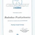 Powiększ obraz: certificate 5