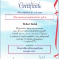 Powiększ obraz: certificate 8