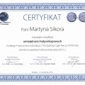 Powiększ obraz: certificate 7