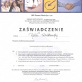 Powiększ obraz: certificate 19