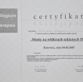 Powiększ obraz: certificate 26