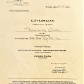 Powiększ obraz: certificate 2
