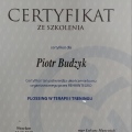 Powiększ obraz: certificate 2