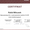 Powiększ obraz: certificate 11