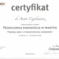 Powiększ obraz: certificate 8
