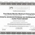 Powiększ obraz: certificate 6