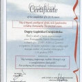 Powiększ obraz: certificate 1