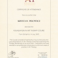 Powiększ obraz: certificate 4