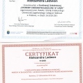 Powiększ obraz: certificate 8