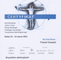 Powiększ obraz: certificate 7