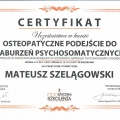 Powiększ obraz: certificate 24