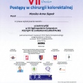 Powiększ obraz: certificate 3
