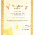 Powiększ obraz: certificate 21