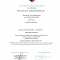 Powiększ obraz: certificate 9