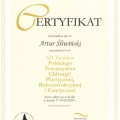 Powiększ obraz: certificate 40