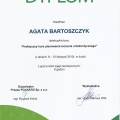 Powiększ obraz: certificate 56