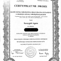 Powiększ obraz: certificate 4