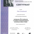 Powiększ obraz: certificate 31