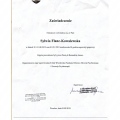 Powiększ obraz: certificate 5